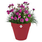 loft urban rond wielen 50cm theater rood